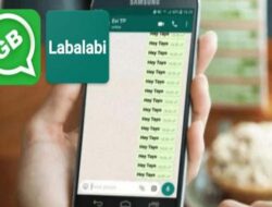 Labalabi For WhatsApp Versi Lama Bisa Kirim Ribuan WA Sekali Tekan